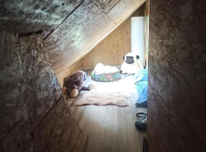 Hyper Centre Cauterets